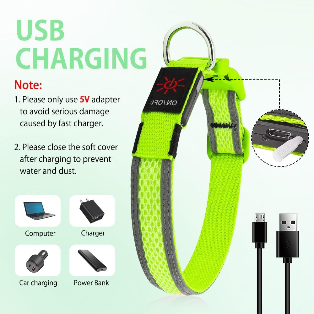 Light up Dog Collar - USB Rechargeable LED Dog Collar Glow in the Dark - High Visibility Glow Collar Light for Nighttime Walking (Large, Fluorescent Green)