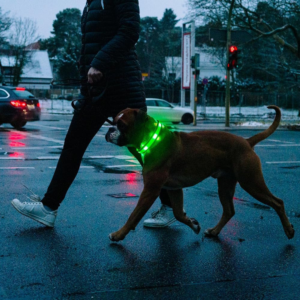 Light up Dog Collar - USB Rechargeable LED Dog Collar Glow in the Dark - High Visibility Glow Collar Light for Nighttime Walking (Large, Fluorescent Green)