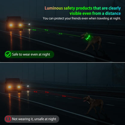 Light up Dog Collar - USB Rechargeable LED Dog Collar Glow in the Dark - High Visibility Glow Collar Light for Nighttime Walking (Large, Fluorescent Green)