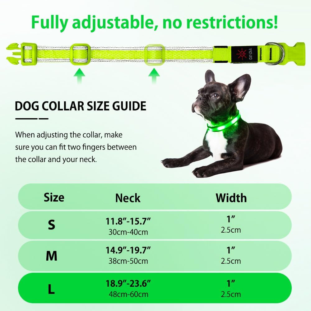 Light up Dog Collar - USB Rechargeable LED Dog Collar Glow in the Dark - High Visibility Glow Collar Light for Nighttime Walking (Large, Fluorescent Green)