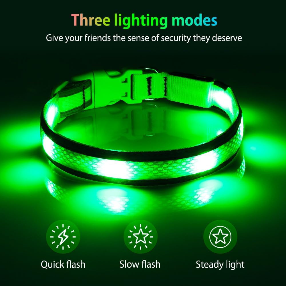 Light up Dog Collar - USB Rechargeable LED Dog Collar Glow in the Dark - High Visibility Glow Collar Light for Nighttime Walking (Large, Fluorescent Green)