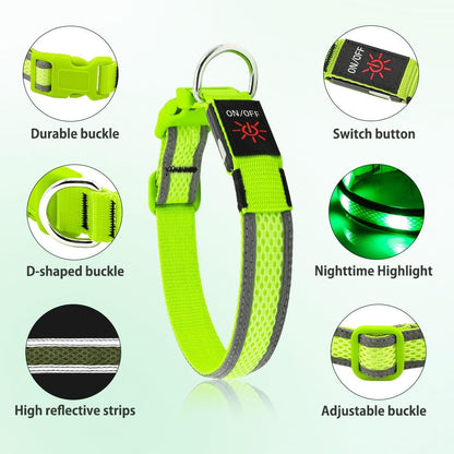Light up Dog Collar - USB Rechargeable LED Dog Collar Glow in the Dark - High Visibility Glow Collar Light for Nighttime Walking (Large, Fluorescent Green)