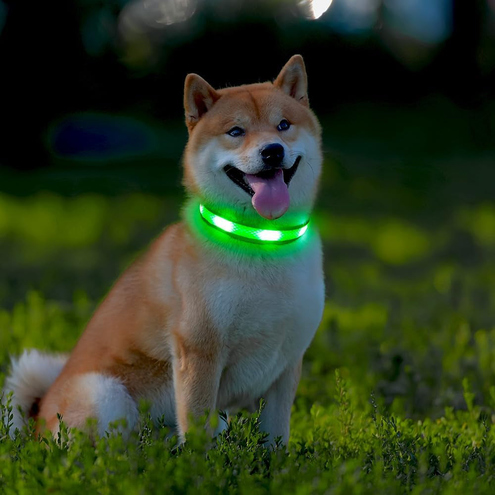 Light up Dog Collar - USB Rechargeable LED Dog Collar Glow in the Dark - High Visibility Glow Collar Light for Nighttime Walking (Large, Fluorescent Green)